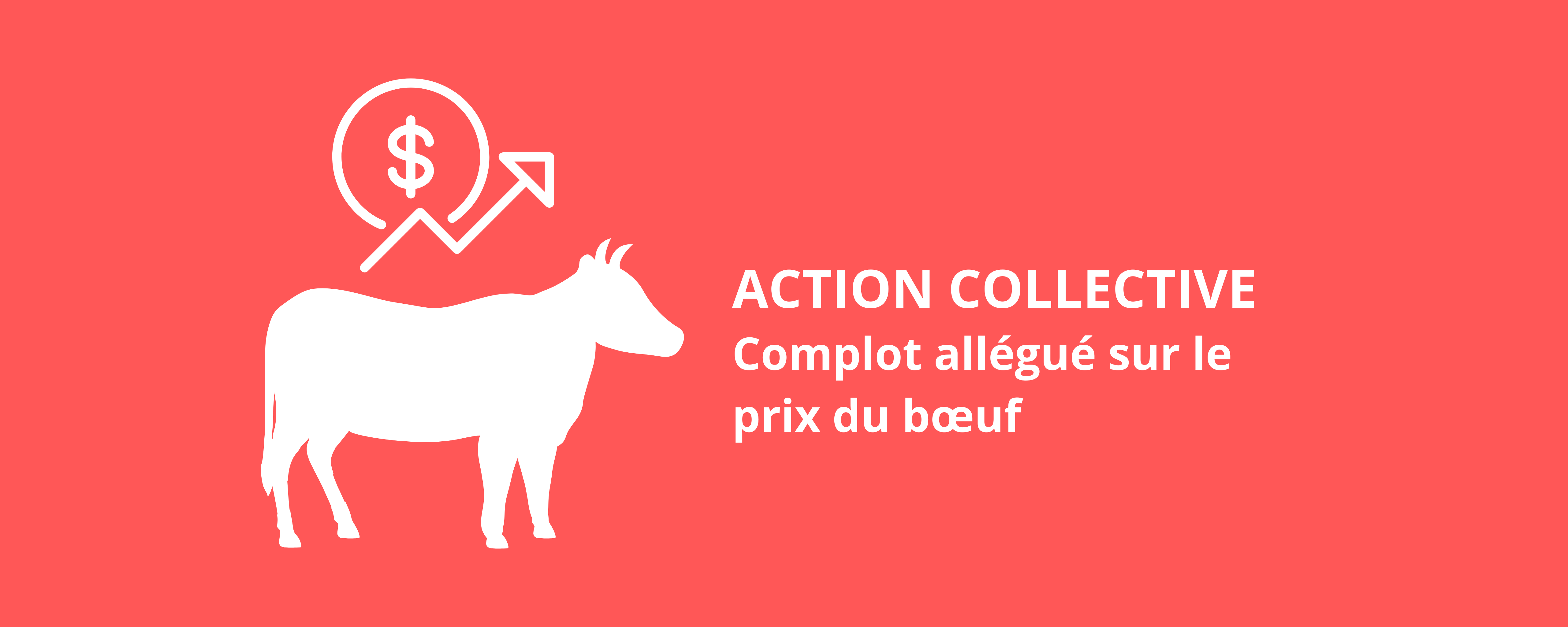 Belleau Lapointe, actions collectives - Class actions